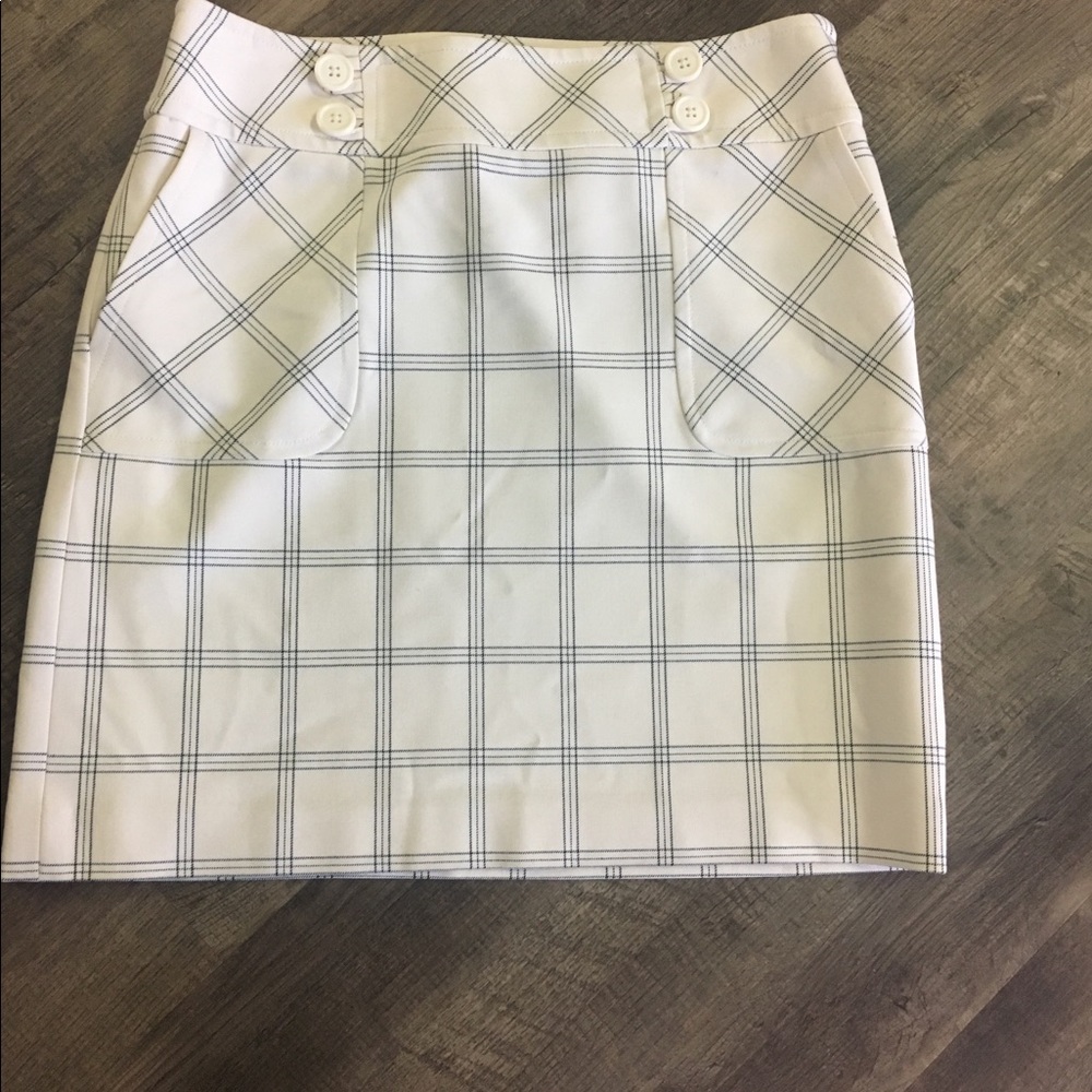Ann Taylor Loft skirt with side zipper